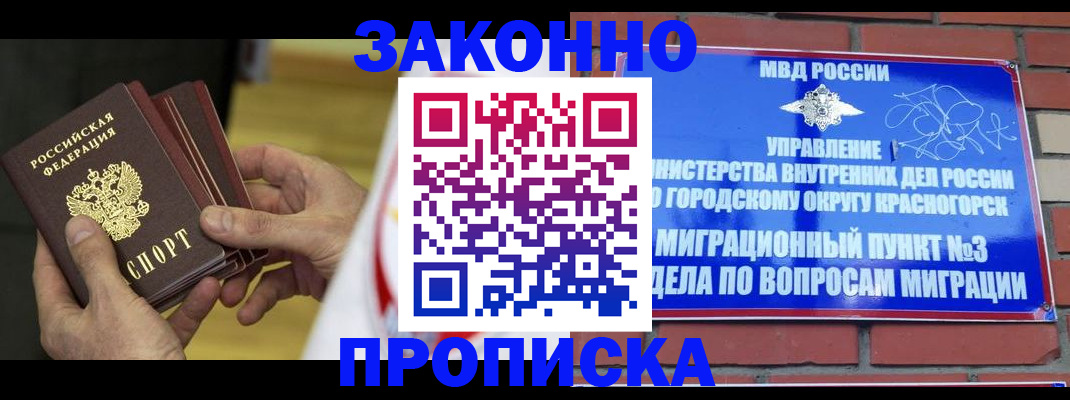 прописка для школы в Шатуре